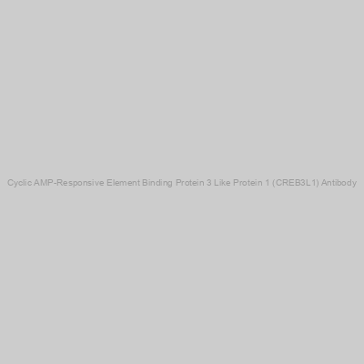 Abbexa - Cyclic AMP-Responsive Element Binding Protein 3 Like Protein 1 (CREB3L1) Antibody